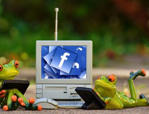 Facebook für Firmen richtig nutzen in Mecklenburg
